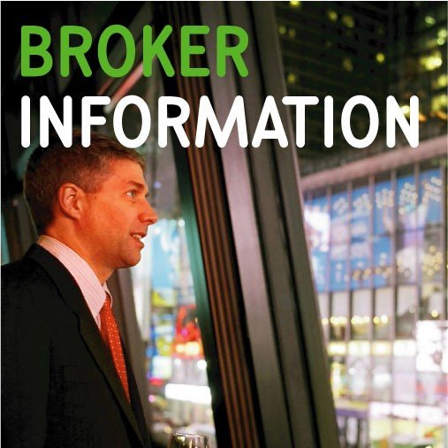 brokers providing access to the Stock Exchange NYSE