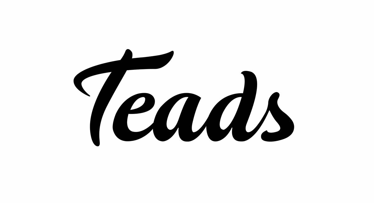 IPO Teads (financial model)