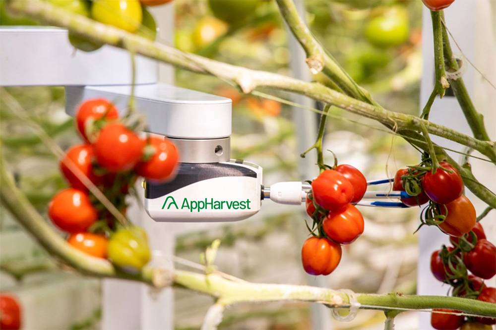 Обзор AppHarvest: роботы, искусственный интеллект и помидоры