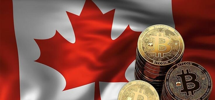 Ark Кэти Вуд разрешает себе покупать канадские биткоин-ETF